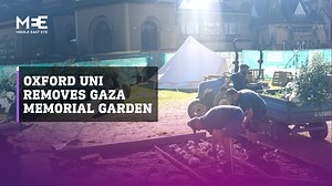 The Oxford University administration dispatched heavy machinery to demolish a Gaza memorial garden on campus, where students commemorated the victims of the war on Gaza. Staff and a mini bulldozer were seen uprooting a Palestine flag-themed flower bed and digging up symbolic graves. | Middle East Eye