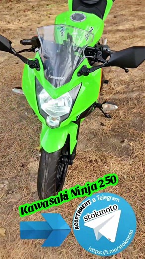 Kawasaki Ninja 250