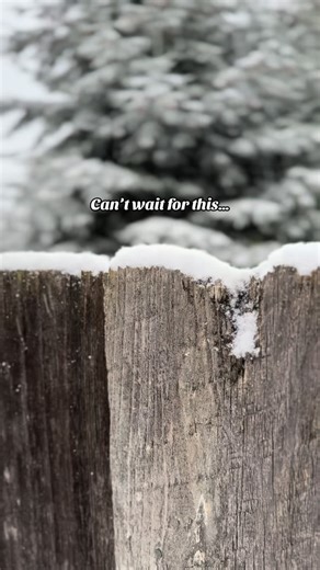 Liliia Liushnenko on Instagram: "Counting down to that first snowfall in Nanaimo ❄️ #vancouverisland #nanaimo #canada"