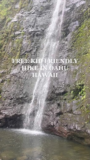 Manoa Falls Trail Hike Experience in Hawaii
