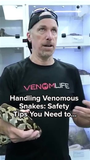 New England Reptiles on TikTok