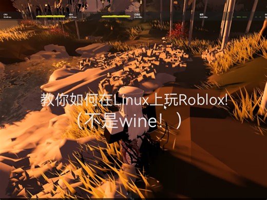 教你如何在Linux上玩Roblox！（不是wine！）