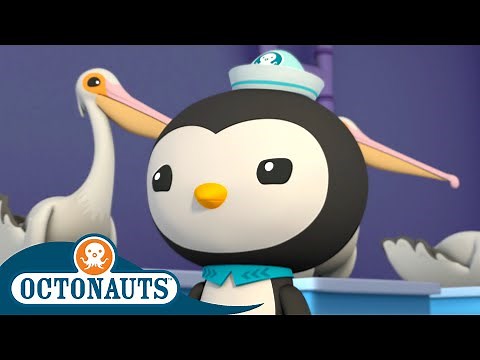 @Octonauts - The Pelicans | Season 3 | Full Episodes | Cartoons for Kids