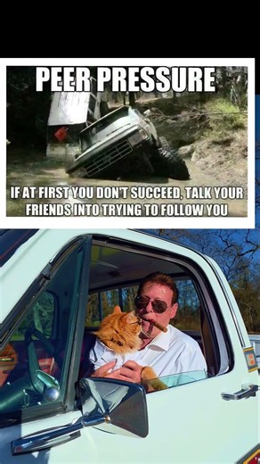 Peer Pressure #friends #trucks #pickup #truckdriver #roadrage #funny #comedy #relatable #fail #wtf