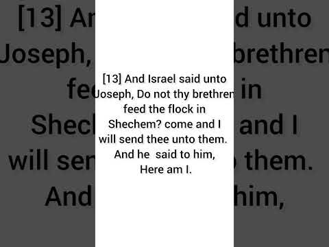 Day 11. 365 Days Bible Reading Series. Genesis 36-38