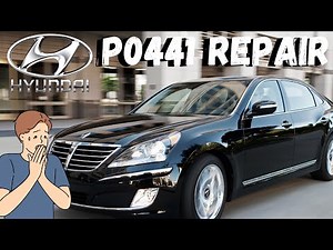 Hyundai/Kia Engine code P0441!!!!