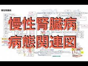 ［公開］慢性腎臓病の病態関連図