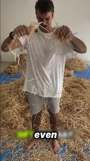 Is Finding a Needle in a Haystack Really Impossible? #facts #shorts