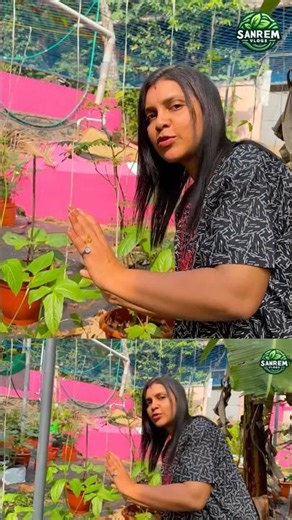 ചാണകം ഇല്ലാതെ നിങ്ങൾക്കൊരു പരിപാടി ഇല്ല അല്ലേ