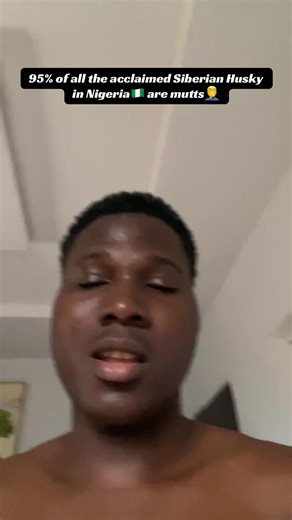 Understanding Siberian Huskies in Nigeria