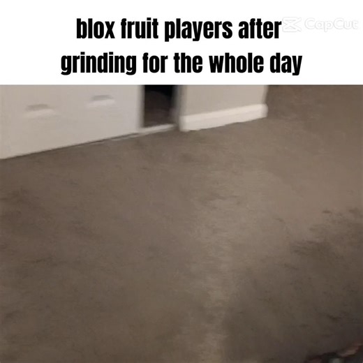 Blox fruits players need to touch grass 🌱 #roblox #memes #fypシ゚viral