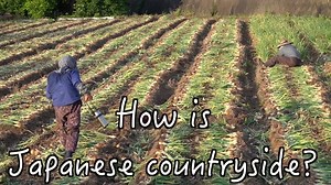 1.5K views · 312 reactions | How is Japanese countryside? House Tour of my share house! Travel to Iki-Island! https://youtu.be/B8ocTmn78D0 Iki-island becomes my second house, it's a countryside with beautiful nature! Also, since I got a lot of requests to do a house tour, I will show you my second house! | Mayo Japan मायो जापान | Facebook