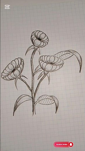 How to Draw a Simple Flower with Leaves | Easy Step-by-Step Drawing for Beginners #drawing #easydraw