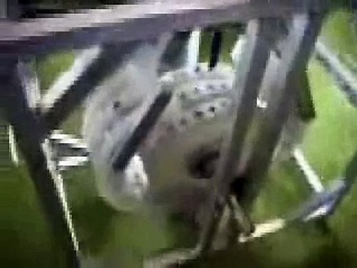 Perendev Magnet Motor by Mike Brady