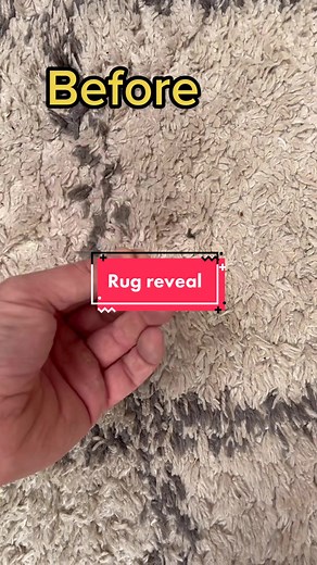 Rug Cleaning Reveal: Before & After Process for Deep Clean