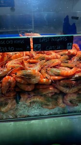 81K views · 211 reactions | Plenty of fresh prawns available for the weekend. #tasmanstarseafoodmarketburleighheads #tasmanstarseafoodmarket #seafoodgoldcoast #goodfood #Prawns | Tasman Star Seafood Market | Facebook