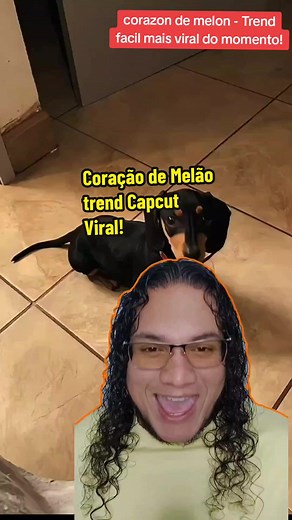 Trend Coração de Melão com Pets!