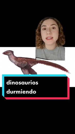 Explorando el Mundo de los Dinosaurios en 3D