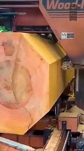 Monster Sycamore on the Woodmizer #sawmill #lumber #makinglumber #sawmilling | Out of the Woods Forestry