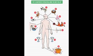 The USA memory champion shows you how to memorize like a champion