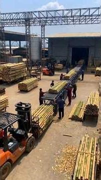 Inside Bamboo Factory || Full Manufacturing Process || Short Video