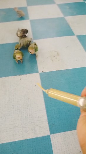 18K views · 175 reactions | Edi wow | Tampi story | Facebook