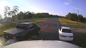 Une tortue cause un carambolage en Floride