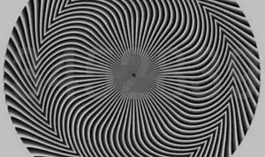 TikTok user shows off Fashion Nova optical illusion dress