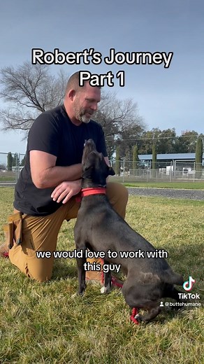 ❤️PLEASE SHARE❤️ Robert has been accepted into the TLC program where @ridgesidek9norcal will train him and provide life skills for FREE! Follow along his journey and share his story to help him find a family! 🏠 • • #animalrescue #adoptdontshop #animallovers #rescue #chicoca #norcal #buttecounty #animalshelter #animalsanctuary #butte #chicolocal #chicoliving #orovilleca #chicolife #chicobusiness #cityofchico #wearechico #paradiseca #volunteer #community #volunteers #instagood #kindness #RescueDo