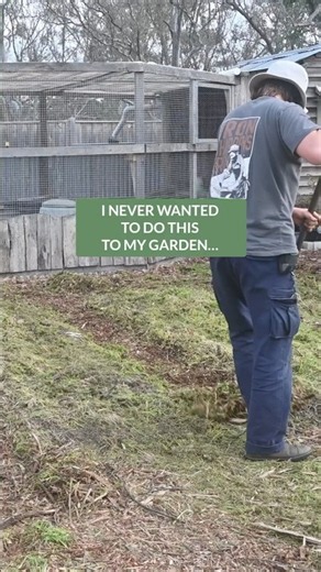 Plastic Mulch for Garden Beds 🤔🌱