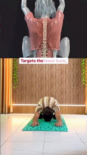 Lower Back Tightness Relief Stretch | Improve Spine Mobility & Flexibility Naturally