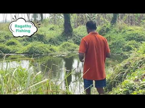 Village Fishermen and Fishing 🎣 #fishing #fish