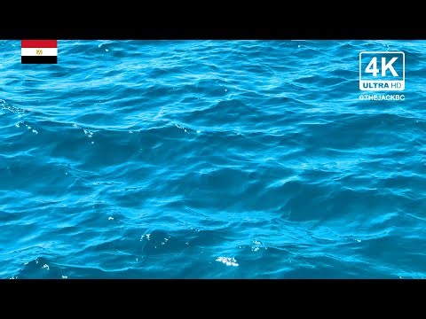 4K Egypt Background | Red Sea | Relaxing Ambient Wallpaper | 338