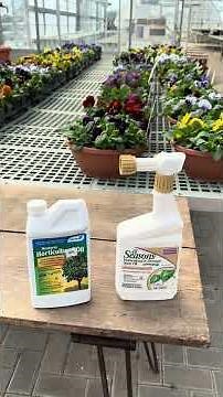 Matt's Garden Tips: Dormant oil for organic insect control #gardening