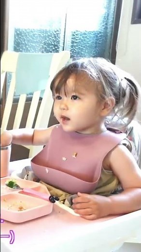【伝説】全く噛み合わない2歳児とアメリカ人パパのやり取り(笑