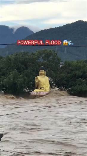Powerful Floodwaters Surround a Buddha Statue #Shorts