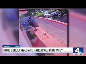 Dogs chase burglars in Downey after criminals steal $100k in cash