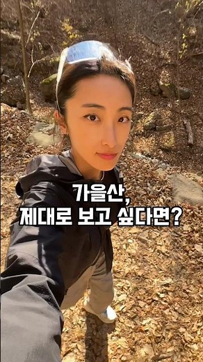 가을산 제대로 즐기기🔥🍂