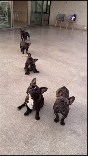 Cómo bailar 'Báilalo Rocky' paso a paso