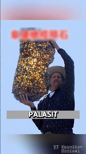 The Discovery of the Rarest and Most Expensive Meteorite. #uniquefacts