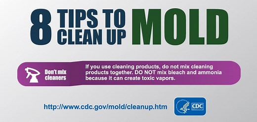 5.2K views · 134 reactions | If you are dealing with the aftermath of a flood, get 8 tips to help with mold cleanup: https://bit.ly/2Lk7hvv | CDC | Facebook