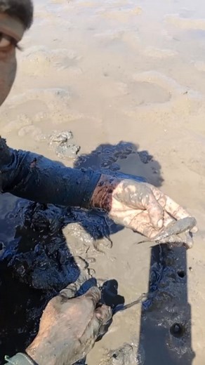 16K views · 154 reactions | Muddy fish hunting #muddyhunt #muddylife #muddy #crabs #Amazing | Manginhasay Vlog | Facebook