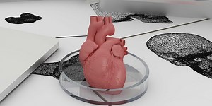 3D printed organs challenges