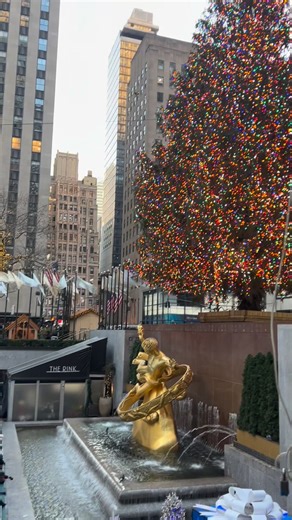 Seeing the Rockefeller Christmas tree in NYC (Aka Home-Alone 2 tree) was surreal 🎄❤️ #rockefellercenter #christmasinnewyork | Carly Jacobs