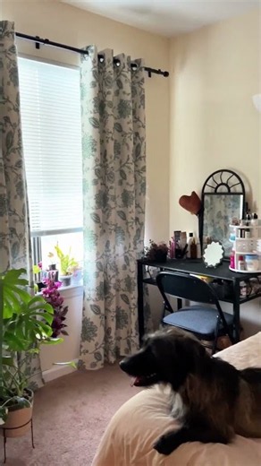 Floral Blackout Curtains for a Cozy Bedroom | Botanical Home Decor #homedecor #amazonfinds #curtains