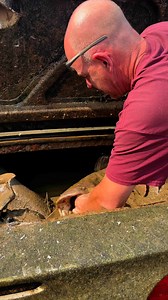 Big Catfish saved from sunken car! #fishing #crazy #tow #scuba | Adam Brown Adventures
