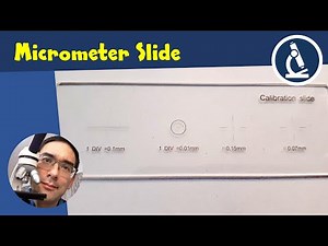 🔬 I bought a micrometer slide and want to show you how to make scale bars for microscopy