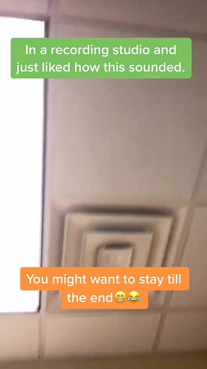 Impressive Warthog Sound Effects in the Studio