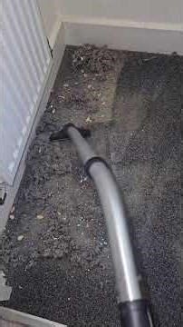 I slowly vacuum the room, picking up dust while the soft hum creates relaxing ASMR and calm vibes.