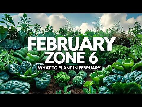 What to Plant in February for a Thriving Zone 6 Garden!